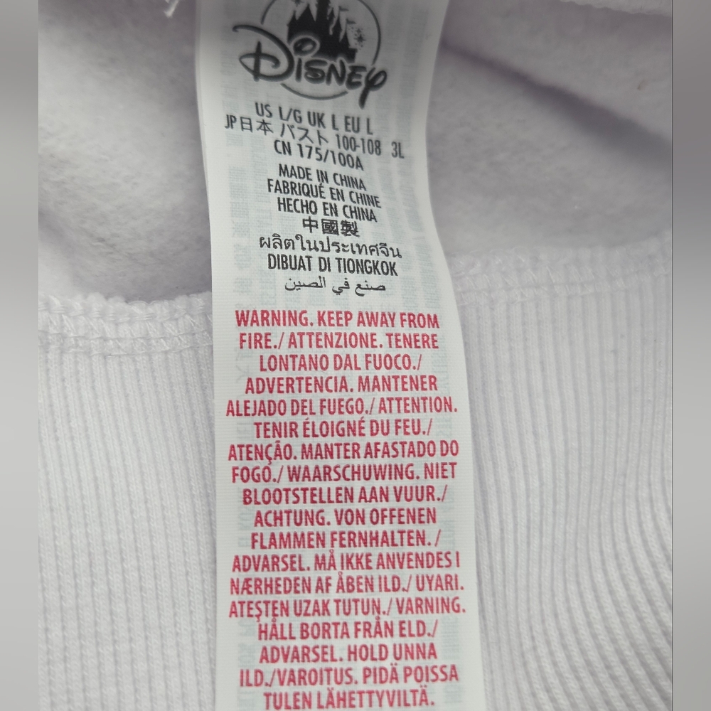2022 DisneyLand Resort Mickey Mouse and Friends Hoodie Size L Embroidered - Picture 8 of 11